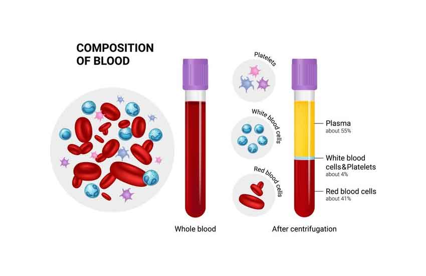 Medical professional preparing PRP injection for joint treatment