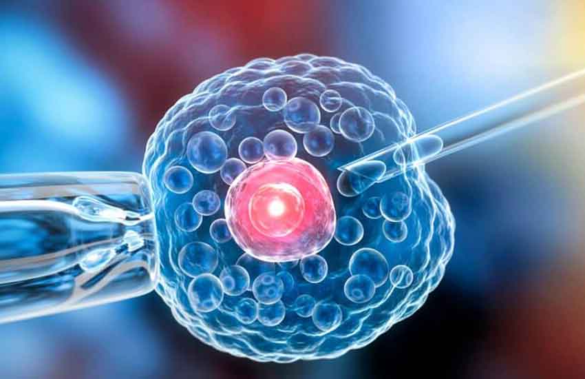 Professional regenerative medicine team at Shingle Creek Medical Group Minneapolis